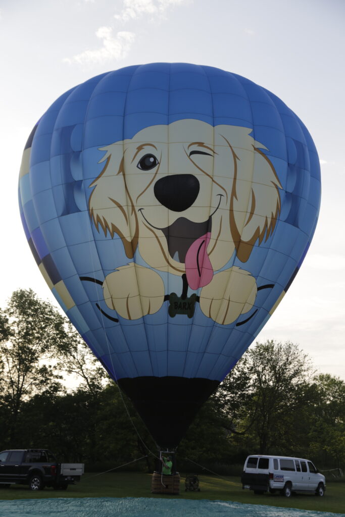 Cameron Z-90 hot air balloon with golden retriever artwork on ground