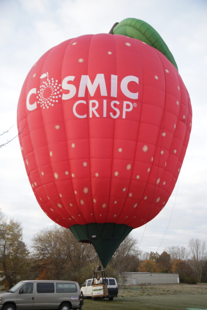 Cosmic Crisp branded apple special shape Cameron hot air balloon on ground