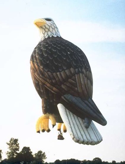 Large bald eagle special shape Cameron hot air balloon in flight