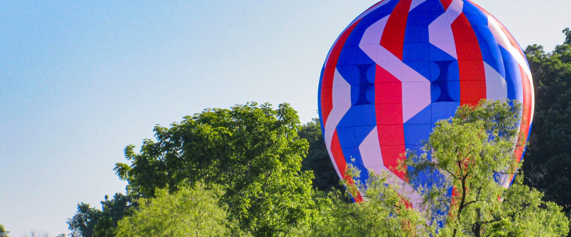 Cameron ZL-77 hot air balloon contour flying behind a tree in Dexter, Michigan