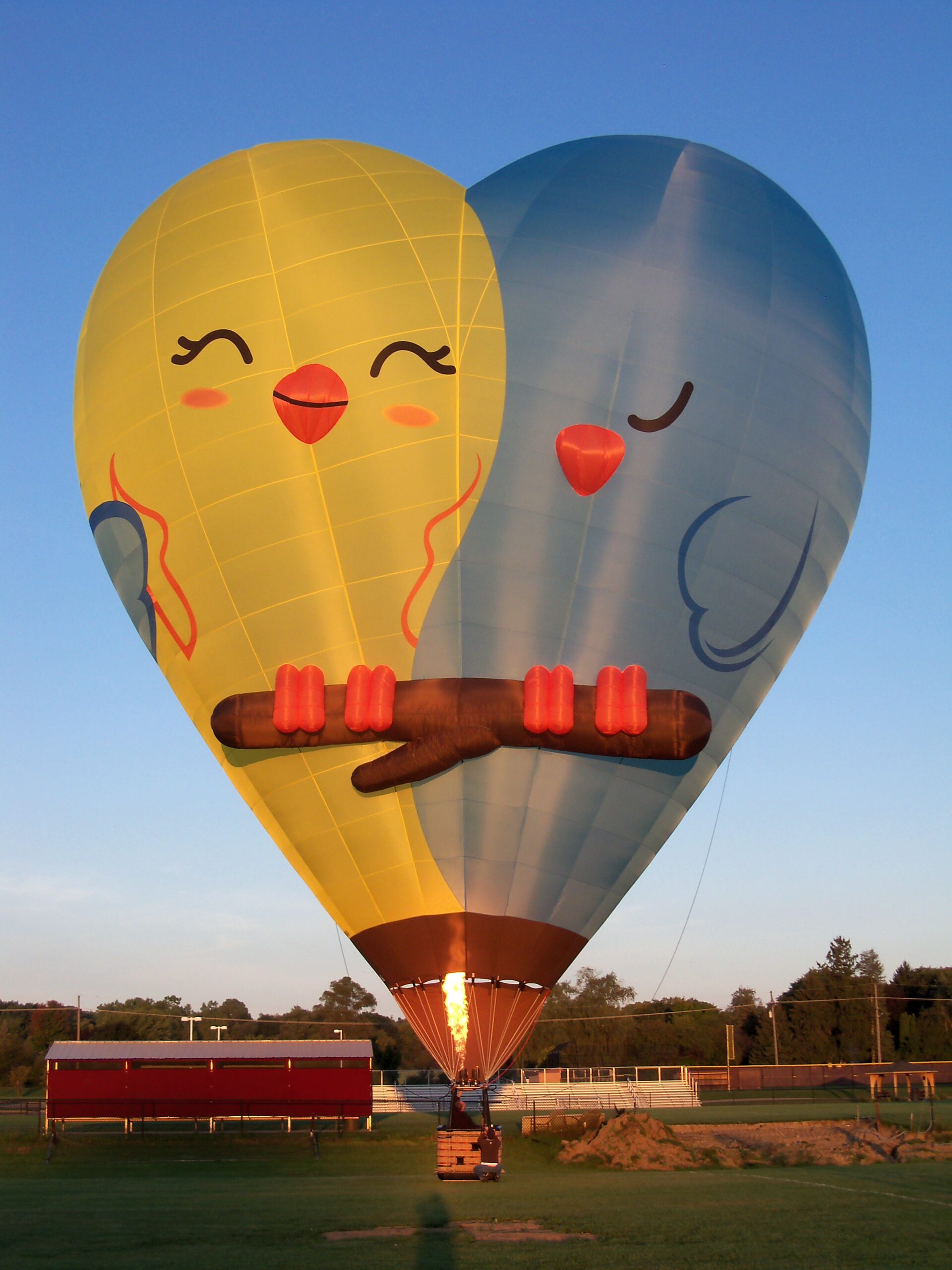 Heart-90 special shape Cameron hot air balloon with lovebird artwork on ground preparing for takeover