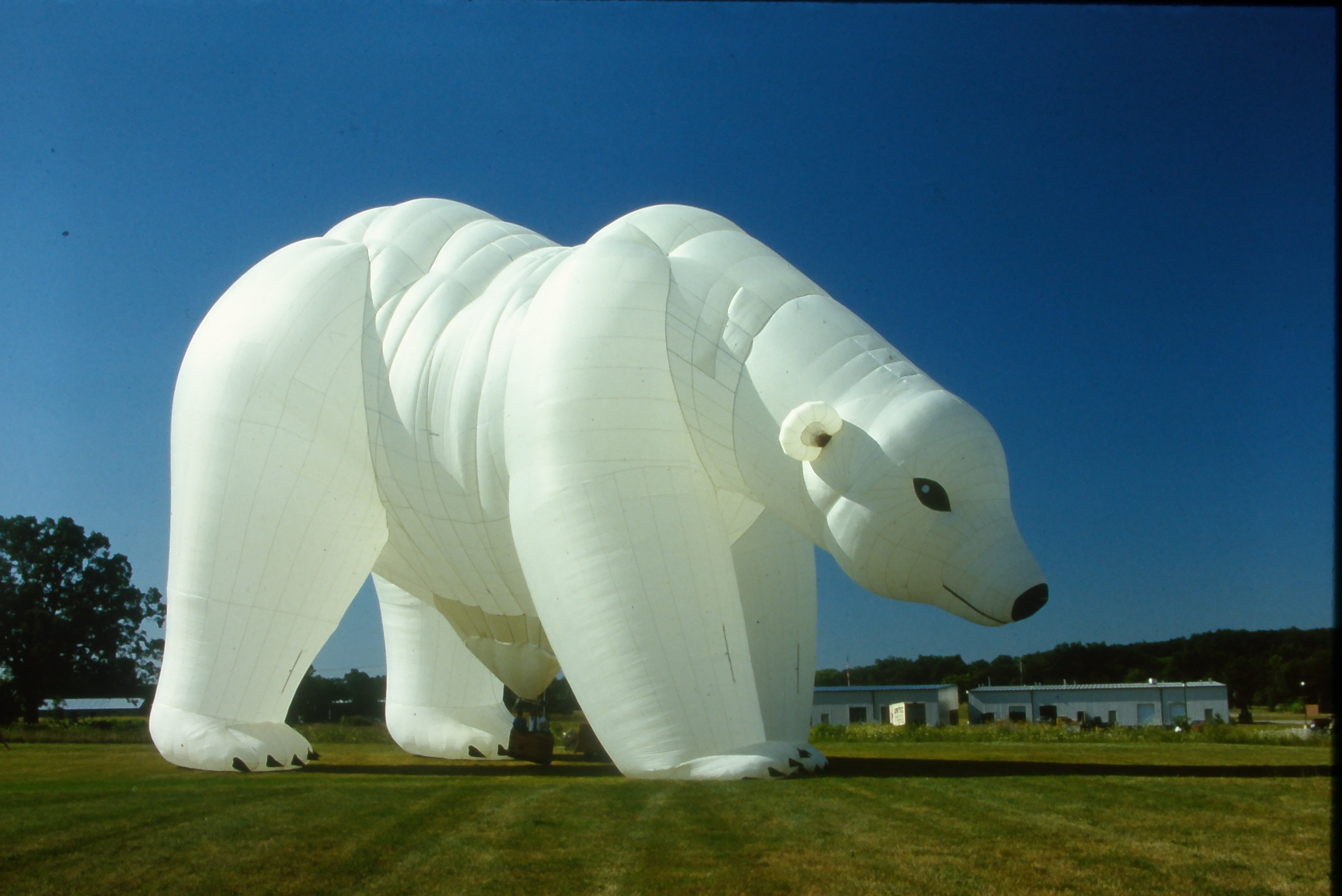 Polar bear special shape Cameron hot air balloon on ground