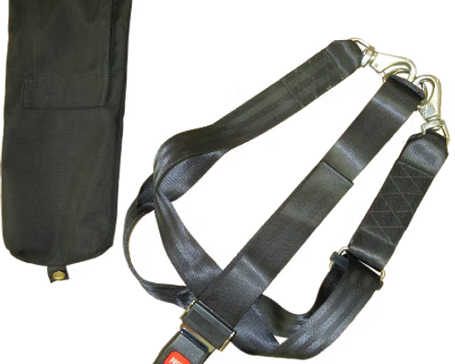 Cameron pilot restraint harness