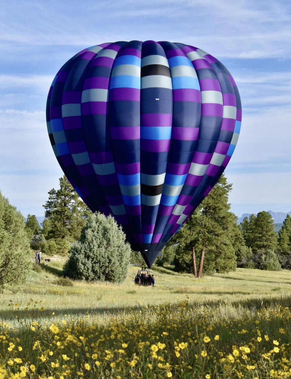 Cameron A-250 hot air balloon landed in a field of flowers
