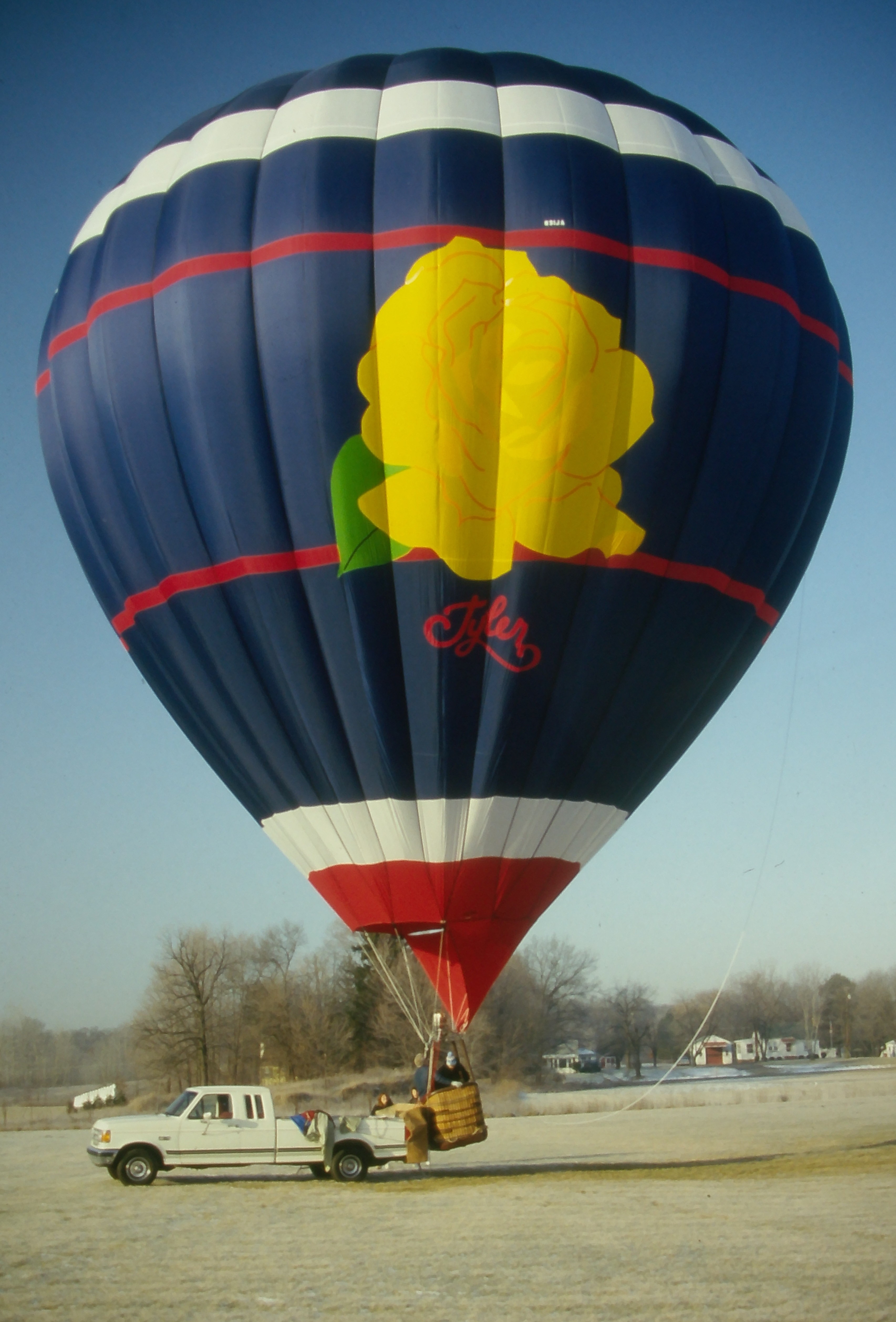 Cameron N-77 hot air balloon with custom yellow rose artwork